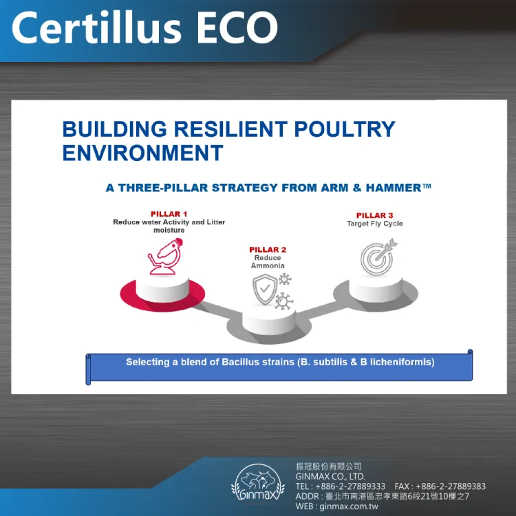 Certillus ECO